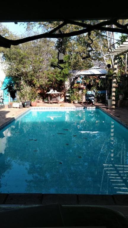 Alpha Hospedaria & Hostel Λοντρίνα Εξωτερικό φωτογραφία